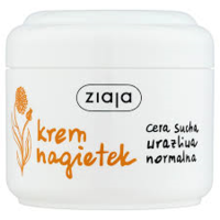 Ziaja Cream Dry Skin 100ml