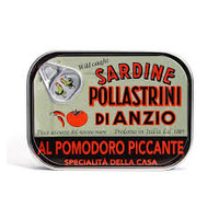 Pollastrini Sardines in Chilli & Tomato 100g