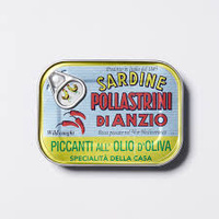 Pollastrini Spicy Sardines in Olive Oil 100g