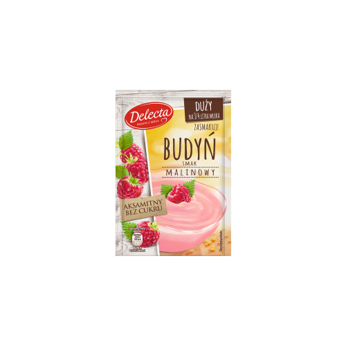 Delecta Raspberry Custard 64g